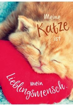 Postkarte TiereMeine Katze ist mein Lieblingsmensch