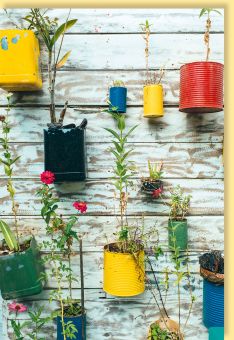 Grußkarte blanko Blumen in Dosen an Holzwand