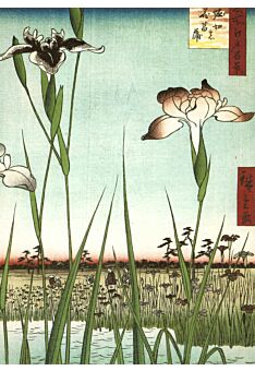 Kunst Postkarte Ando Hiroshige - Horikiri Iris Garden