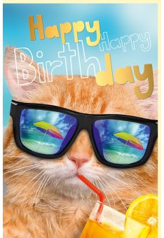 Geburtstagskarte Motiv Katze Happy happy Birthday