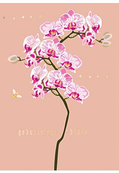 Geburtstagspostkarte Spruch Orchidee Geburtstagsblüte