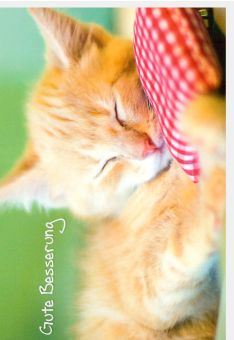 Genesungskarte Katze schläft Spruch Gute Besserung
