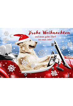 schöne Weihnachtskarte Hund Labrador Frohe Weihnachten und einen guten Start ins neue Jahr