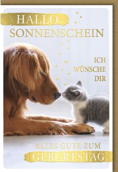 Glückwunschkarte Geburtstag allo Sonnenschein Hund und Katze