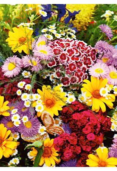 Postkarte blanko Wildblumen: Flowers II