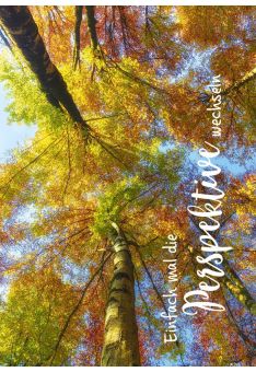 Postkarte Lebensweisheit Spruch Einfach mal die Perspektive wechseln