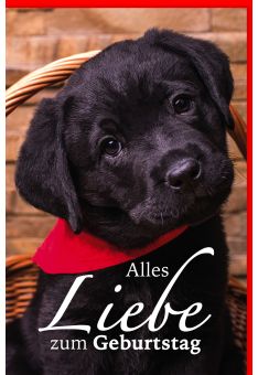 Glückwunschkarte Geburtstag Schwarzer Labradorwelpe