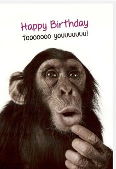 Geburtstagskarte lustig Spruch Happy Birthday tooooooo youuuuuuu
