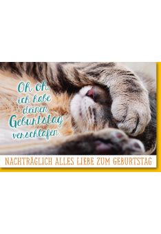 Geburtstagskarte nachträglich - Pfote über Augen