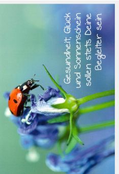 Glückwunschkarte Geburtstag Spruch Gesundheit, Glück und Sonnenschein