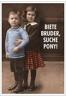 Postkarte Spruch lustig Biete Bruder, suche Pony!