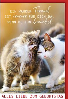 Karte Geburtstag Katzen Spruch Ein wahrer Freund