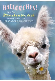 Postkarte Freundschaft Spruch Hallöchen Hab ein Blümchen für dich, damit dein Tag besonders schön wird