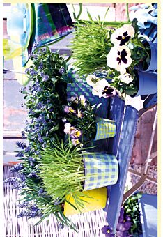 Grußkarte blanko Blumen bunt auf Gartenstuhl blau