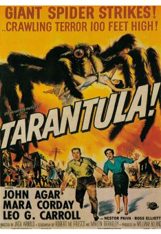 Film Postkarte Tarantula