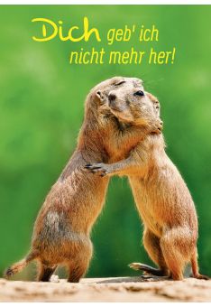 Postkarte Liebe Spruch Dich geb' ich nicht mehr her