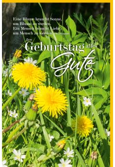 Glückwunschkarte Geburtstag Nahaufnahme Blumenwiese