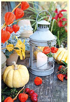 Fotogrußkarte Herbst Kürbisse und Laterne mit Kerze