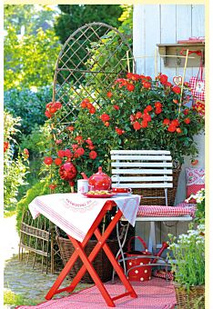 Fotogrußkarte Sommer auf dem Land Stuhl und gedecktes Tischchen im Garten