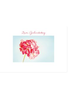 Geburtstagskarte Zum Geburtstag Gutsch