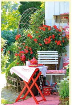Fotogrußkarte Sommer auf dem Land Stuhl und gedecktes Tischchen im Garten