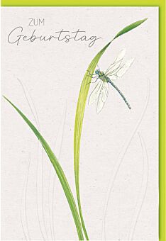 Geburtstagskarte aquarell Libelle auf Grashalm