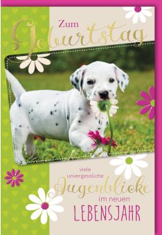 Geburtstagskarte Hundewelpen Spruch Augenblicke