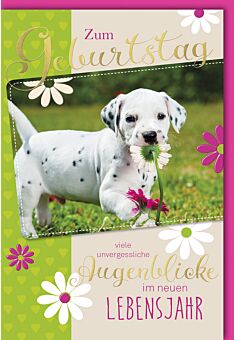 Geburtstagskarte Hundewelpen Spruch Augenblicke