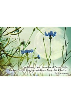 Postkarte Lebensweisheit Spruch Die Blume, den Himmel