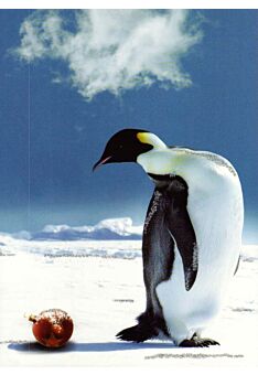 Postkarte Tiere Pinguin Weihnachtskugel: weihnachtsüberraschung