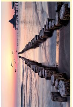 Fotogrußkarte Landschaften Holzstämme im Sand und im Meer