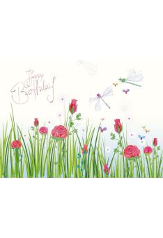 Postkarte Geburtstag Wiese Blumen Schmetterlinge