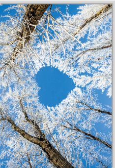 Blankokarte Blumen Natur Winter Eis blanko Herz Bäume