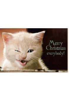 Weihnachstkarte Katze Merry Christmas everbody
