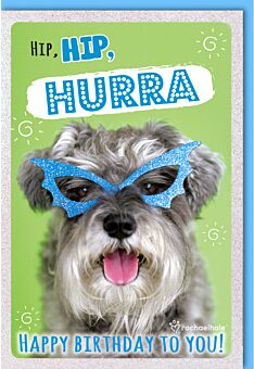 Geburtstagskarte witzig Hund mit blauer Glitzer-Brille