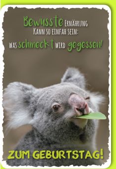 Glückwunschkarte Geburtstag Koala mit grünem Blatt
