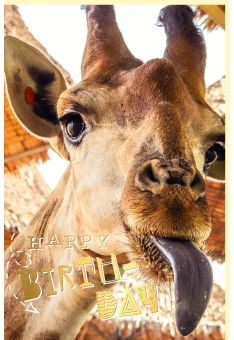 Geburtstagskarte witzig mit Goldfolie Giraffe
