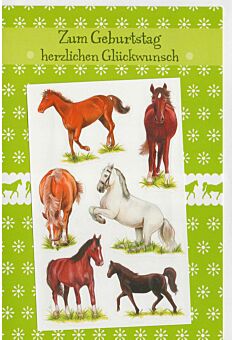 Geburtstagskarte für Pferdeliebhaber und Pferdefreunde