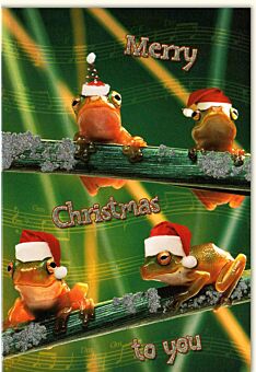 Weihnachtskarte lustig Merry Christmas 4 Frösche