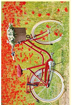 Fotogrußkarte Sommer auf dem Land Fahrrad an der Mohnwiese