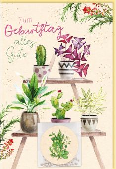 Geburtstagskarte mit Blumen und Sukkulenten auf Zuckerrohrpapier inklusive Samentütchen