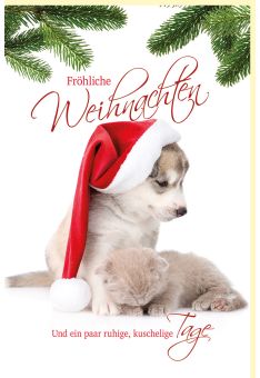 Weihnachtskarte zwei Katzen Schnee Weihnachtsmütze