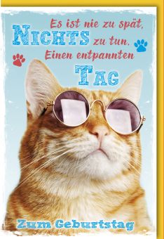 Geburtstagskarte witzig roter Kater mit Sonnenbrille