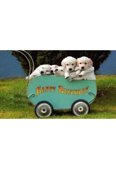 Geburtstagspostkarte Hundewelpen Bollerwagen: Happy Birthday
