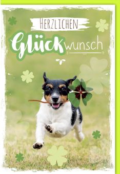 Glückwunsch - Hund mit Kleeblatt