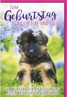 Glückwunschkarte Geburtstag Hund unter Flieder