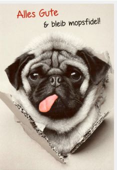 Geburtstagskarte lustig Alles Gute und bleib mopsfidel