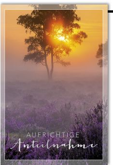 Trauerkarte - Sonnenuntergang hinter Baum und lila Blumenwiese - Folienprägung - Aufrichtige Anteilnahme