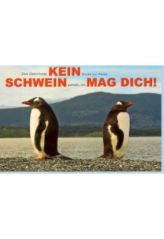 Karte Geburtstag lustig Kein Schwein mag Dich