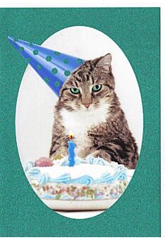 Geburtstagskarte Glimmerlack lustig Katze